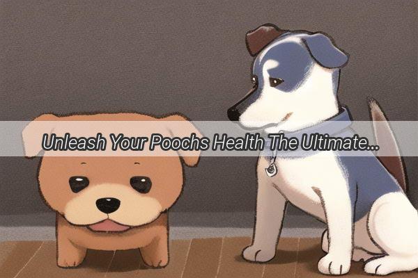  Unleash Your Poochs Health The Ultimate Guide to Medications for Dog Intestinal Issues